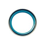 SB-tüüpi skelett-õlitihend