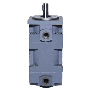 keskmise rõhu tiivikpumbad