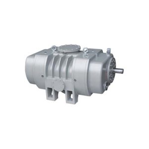 gaasijahutusega Roots-vaakumpump